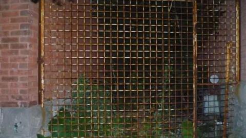 1 Murray and 4 Kings - One-and-Four5.jpg