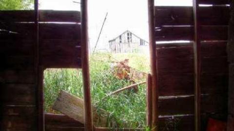 Crimson and Clover - Ruby-Red34.jpg