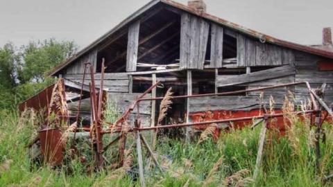 Crimson and Clover - Ruby-Red75.jpg