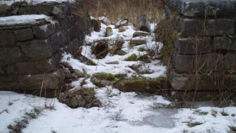 Photo from Dad's House revisited