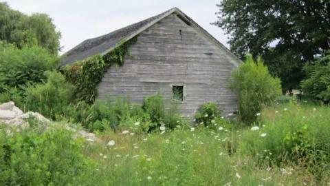 Other old house - Big-white-house13.jpg