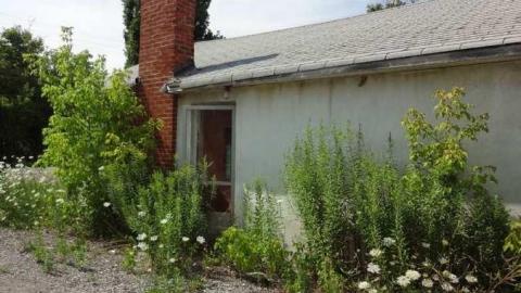 Essex Ave. - EssexAve. (5).jpg