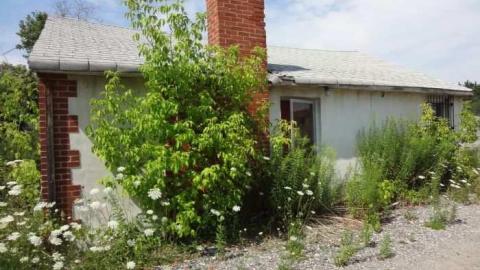 Essex Ave. - EssexAve.jpg