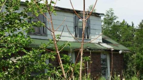 Essex Ave. - 19EssexAve..jpg