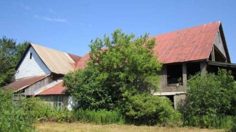 Hot day on the farm - 014.jpg