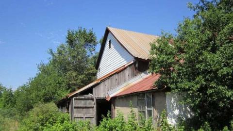 Hot day on the farm - 031.jpg