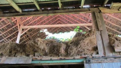 Hot day on the farm - 012.jpg