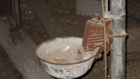 Hot day on the farm - 005.jpg