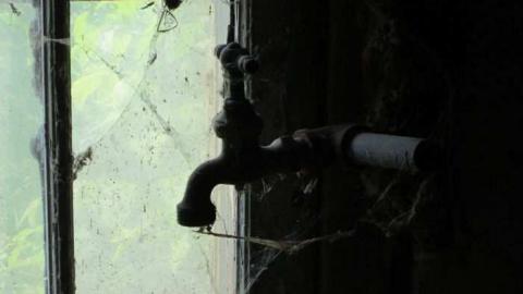 Hot day on the farm - 008.jpg