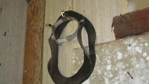 Hot day on the farm - 018.jpg