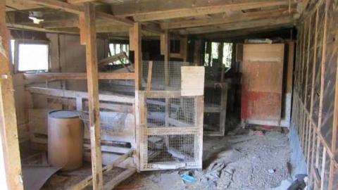 Hot day on the farm - 010.jpg