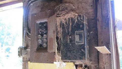 Hot day on the farm - Niagara Falls, Ontario