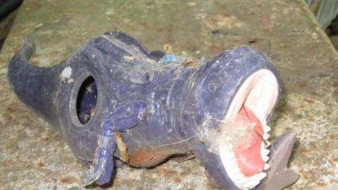 Hot day on the farm - 037.jpg