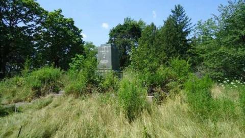Taras Shevchenko Park photo 3