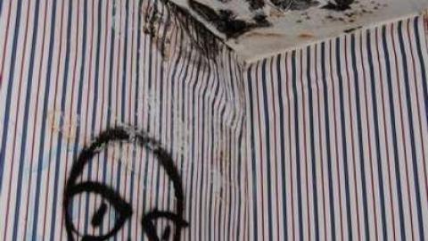 July/12 - The-houses-Rexall-killed34.jpg