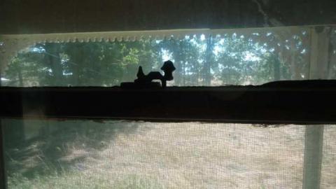 North Of Oakville - North-Oakville-farm28.jpg