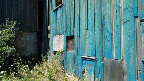 North Of Oakville - North-Oakville-farm19.jpg