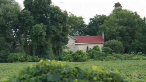 MacRamara - MacRae-Farm6.jpg