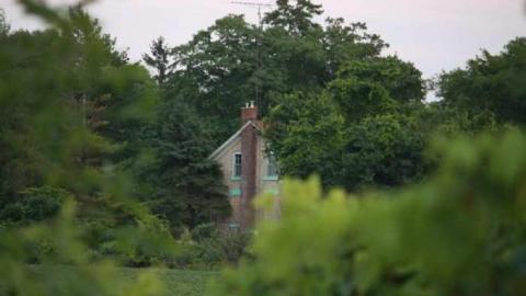 MacRamara - MacRae-Farm7.jpg