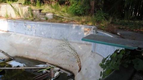 July/12 - The-houses-Rexall-killed6.jpg