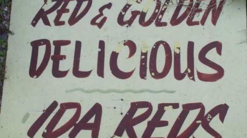 Apples No More - City-Orchards158.jpg