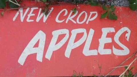 Apples No More - City-Orchards60.jpg