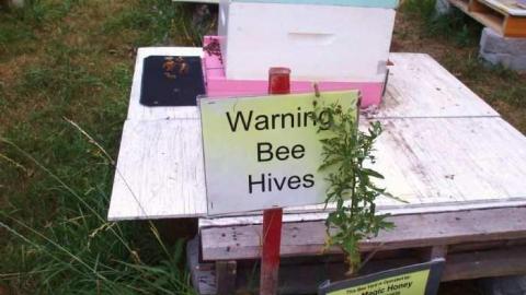 Apples No More - City-Orchards61.jpg