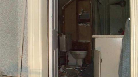 Apples No More - City-Orchards162.jpg