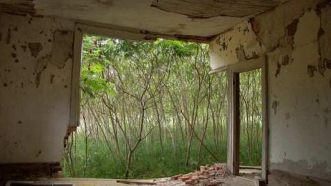 Art is only abandoned - DSC08676_7_8_tonemapped_1600x1200.jpg