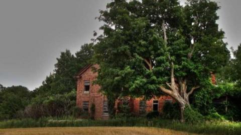 Art is only abandoned - DSC08731_2_3_tonemapped_1600x1199.jpg