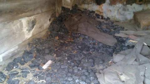 No Hope! - No-Hope-(Island)18.jpg