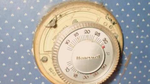 Apples No More - City-Orchards37.jpg