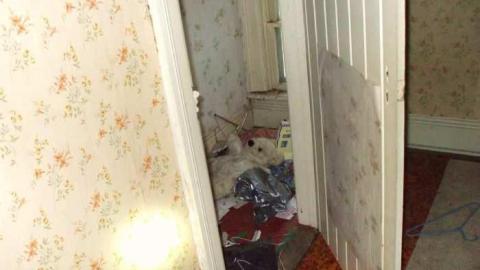 Apples No More - City-Orchards154.jpg