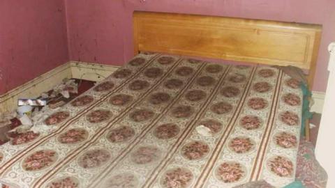 Apples No More - City-Orchards101.jpg