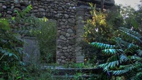 Stoned Immaculate - 2.jpg