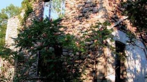 Photo from Stoned Immaculate