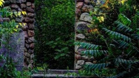 Stoned Immaculate - 5.jpg