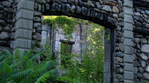 Photo from Stoned Immaculate