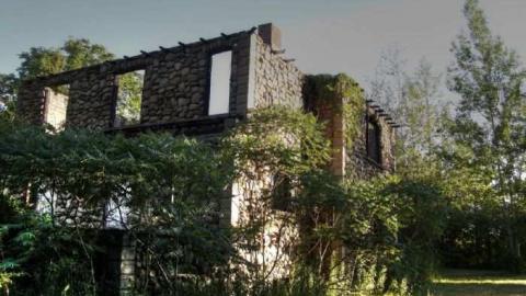 Stoned Immaculate - 8.jpg