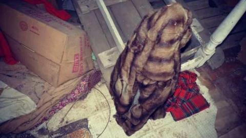 Small Red House - Ruby-Red20.jpg