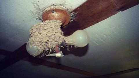 Photo from Small Red House