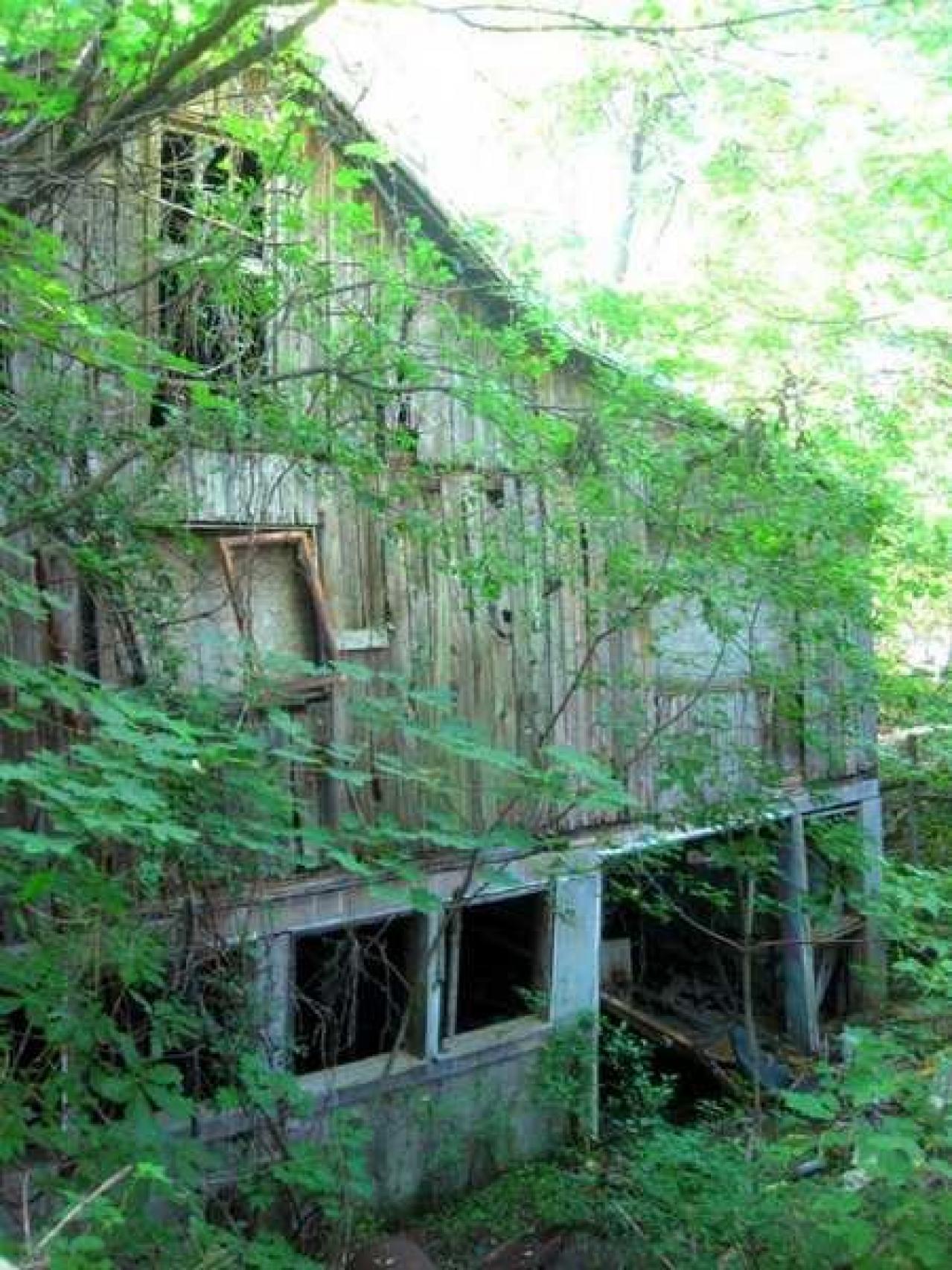 Downtown Port Robinson Barn - 001 - IMG_7201.jpg