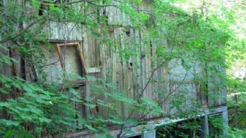 Downtown Port Robinson Barn cover photo