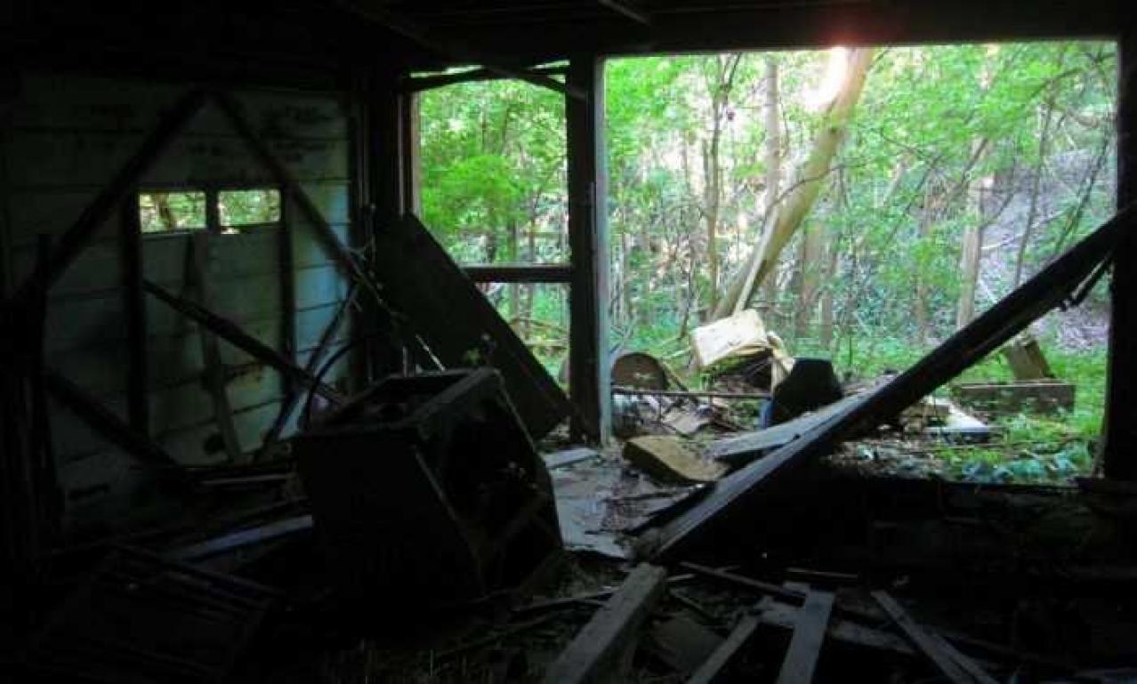 Downtown Port Robinson Barn - 001b2 - IMG_7211.jpg