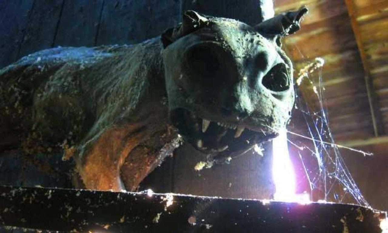 Downtown Port Robinson Barn - 003 - IMG_7223X3.jpg