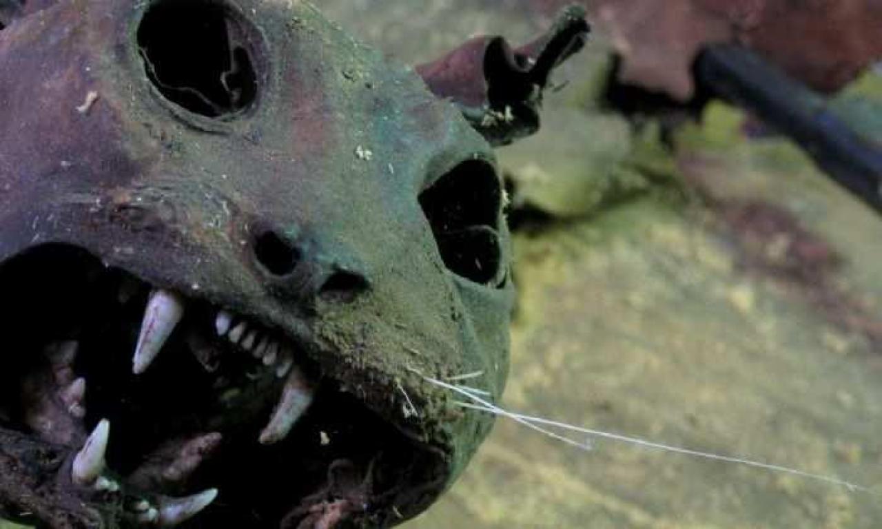 Downtown Port Robinson Barn - 005B - IMG_7217b.jpg