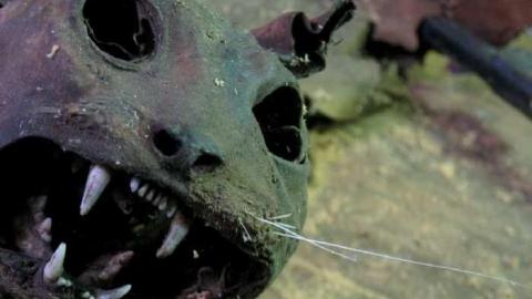 Downtown Port Robinson Barn - 005B - IMG_7217b.jpg