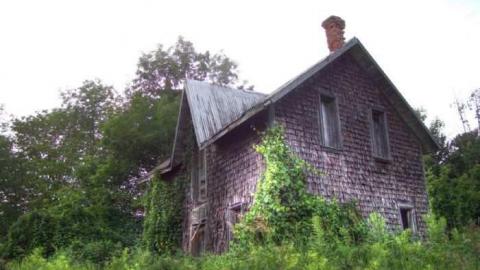 Turkey Vulture Time - 1.jpg