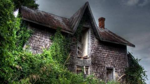 Photo from Turkey Vulture Time