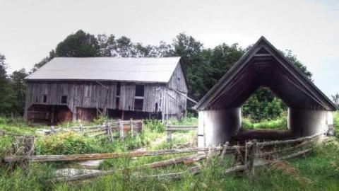 Turkey Vulture Time - 2a.jpg